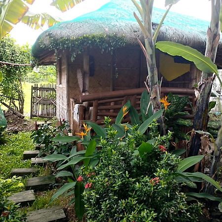 Dupas Luce Love Lodges Talipan Exterior photo